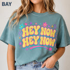 Hey Now Shirt, Lizzie Inspired Comfort Colors Tee, 2000s Millennial Concert Shirt, What Dreams Are Made Of Gift